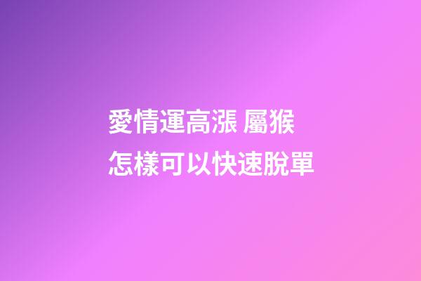 愛情運高漲 屬猴怎樣可以快速脫單